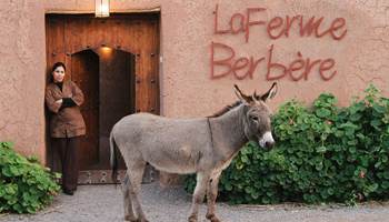 LA FERME BERBERE-presta