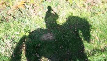 20141101_121426-presta