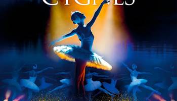 2025 Lac des cygnes ©@Indigo-photo-news