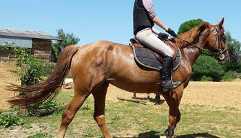 2014-06-07 17.26.48-presta