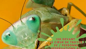 betes de sexe-presta