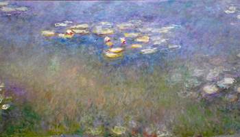 water-lilies-agapanthus-presta