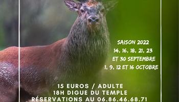 Copie de vivre le brame-presta