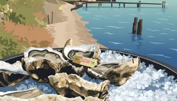 IMG_20251123_000757-presta