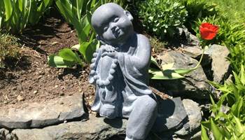 -news