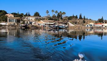 IMG_20250117_142030-presta