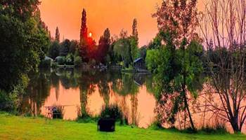 photo_redimensionnee_1300x1000-presta