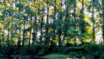 canoë au départ de Montignac Lascaux-presta