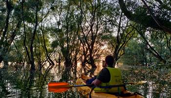 IMG-20210718-WA0031-presta