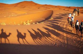 une balade à dos de chameau à travers les dune à Zagora