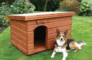 chien niche