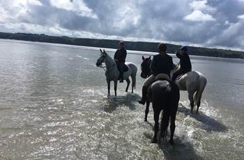dans la Baie