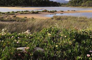 arrivee-etang-benedettu-corse