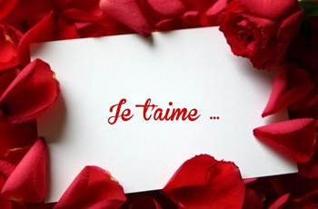 JTM en petale