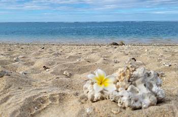 Locations de vacances à la Réunion