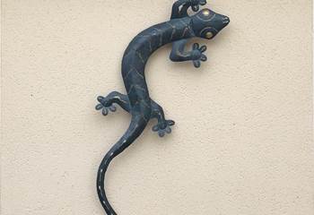 la salamandre dur le mur de la façade