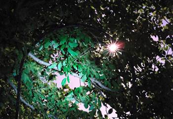 le portail et la lune