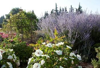 jardin-artistique-fleurs-gloriette