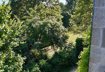 Maison Volière extérieur