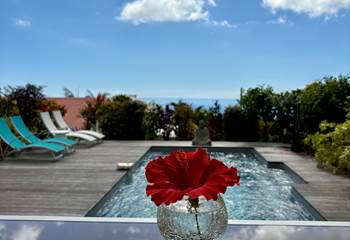 Piscine chauffée avec vue mer ou océan