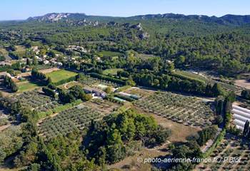 vue aérienne MAS DES FIGUES