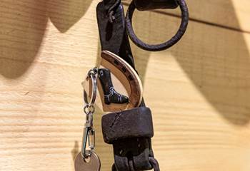 La chambre (PMR) : Thème l'écurie