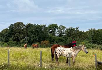 Randonnée à cheval