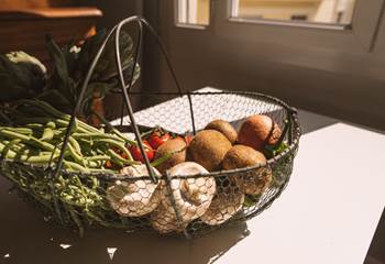 Chez Zaza coming back from LES HALLES