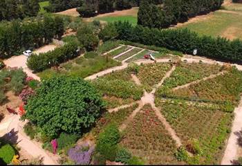 vue aérienne de la roseraie