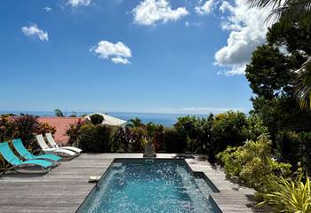 piscine au sel chauffée au milieu d'un jardin tropical