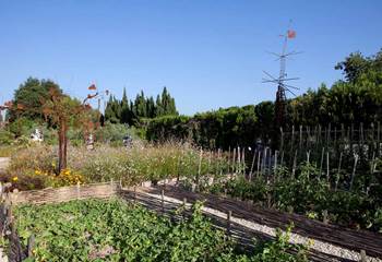 jardin-potager