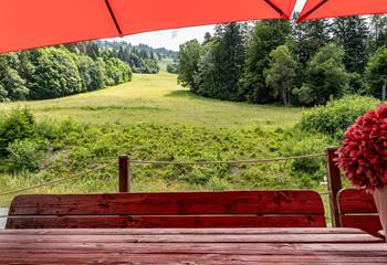La terrasse avec vue