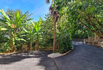 jardinnaturel/palmiers/bananiers