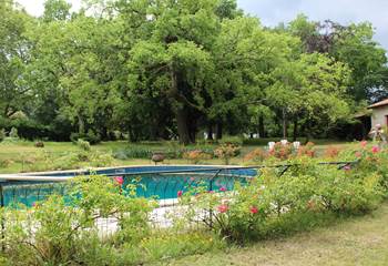 2 5 Piscine et extérieur reduite