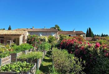 jardin-permaculture-terrasse