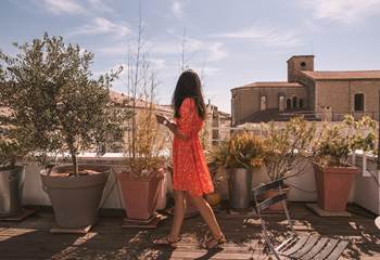 Roof Top with plants