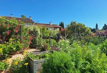 jardin-permaculture