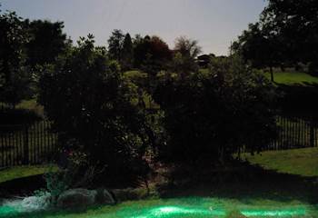 la lumière dans les bosquets