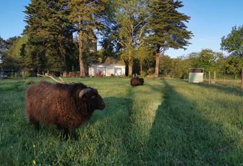 Vue lointaine des chambres d'hôtes du Moulin de la Retardière