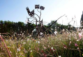 jardin-artistique-fleurs