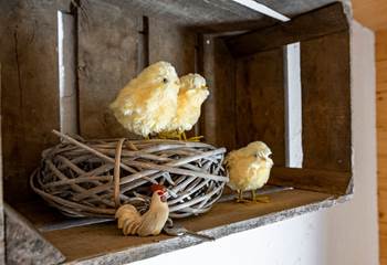 La chambre : Thème le poulailler