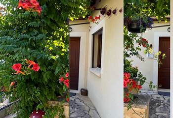 l'entrée de la maison