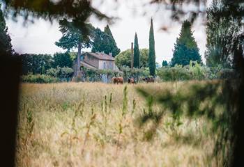 Calme et détente dans le domaine