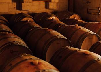 maison+d'hôtes+gîte+saint-emilion+-+25