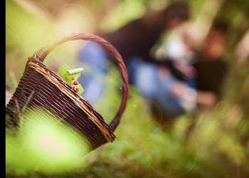 Panier dégustation - 2 personnes