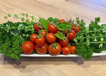Tomates cerises et aromates de notre jardin
