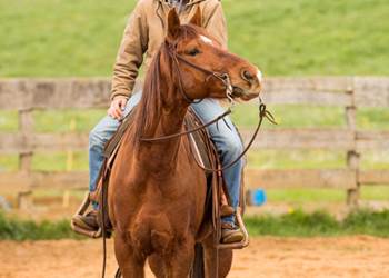 Eva sur le cheval Spirit