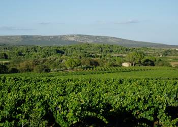 Collines de la Moure et Eoliennes