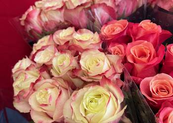 bouquet de roses