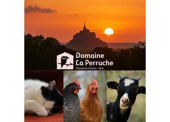 domaine-la-perruche-mont-saint-michel-animaux-coucher-soleil